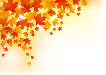 Autumn Leaves Background