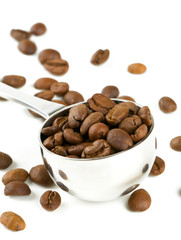 coffee beans in a spoon isolated on white