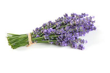 bunch of lavender isolated on white