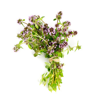 thyme flowers isolated on white