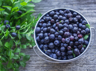 ripe blueberries