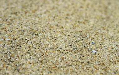Warm sand.