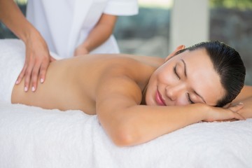 Smiling brunette enjoying a back massage