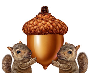 Squirrels Holding An Acorn © freshidea