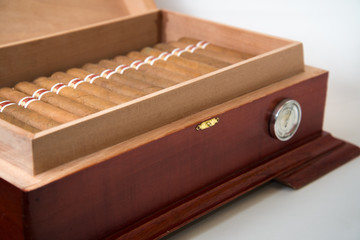 cuban cigar and humidifier