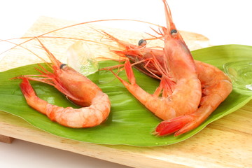 甘海老　生　食材