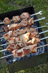 Meat roasted on skewers
