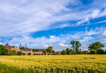 5305 ein Sommertag in  Zons