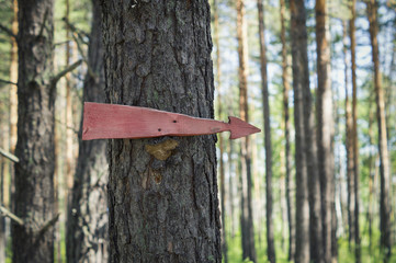 Wood arrow on tree