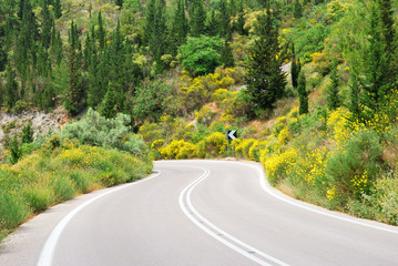Asphalt road winding through flower hills with trees
