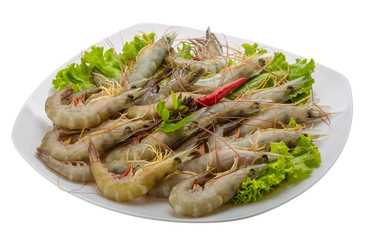 Raw tiger shrimps
