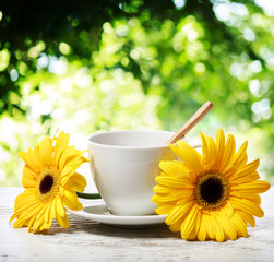 Coffee cup with yellow gerberas