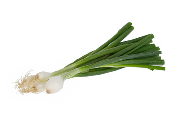 Spring onion isolated on white background