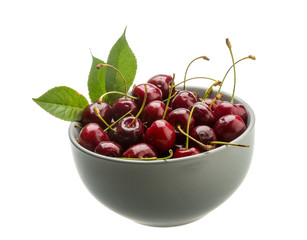 Gean - cherry