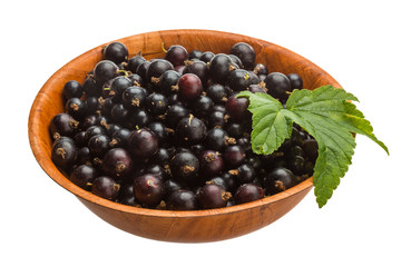 Black currant