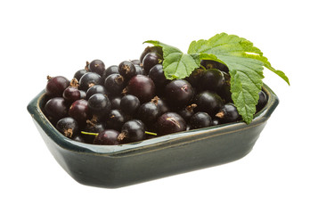 Black currant