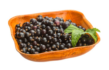 Black currant