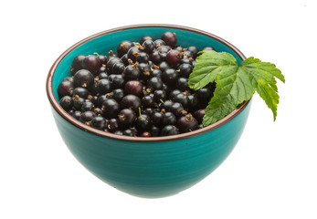 Black currant