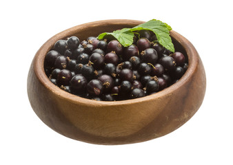 Black currant