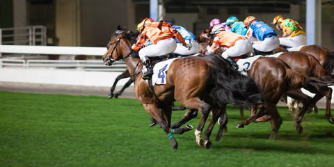 Obraz premium Wyścigi konne w Hongkongu