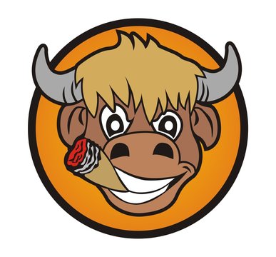 bull smoke
