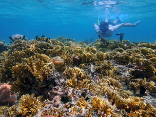 Man underwater snorkeling in a shallow coral reef