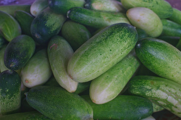 Fresh green cucumber collection on market