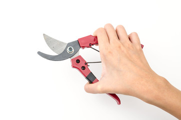 Isolated garden shears