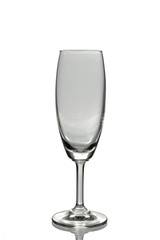 Wine glass