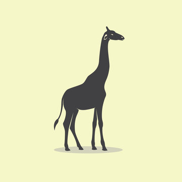 Vector image of an giraffe design.
