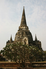 Wat Yaichaimongkol, Ayuddhaya
