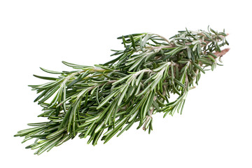 Rosemary herb