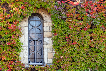 Fototapeta na wymiar window with orange and green leaves