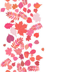 Autumn background with colorful leaves.