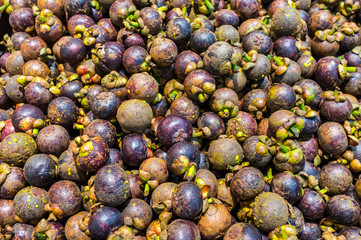 Fresh Mangosteen