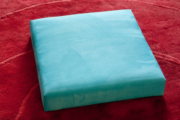 turquoise quadratic pillow on red carpet