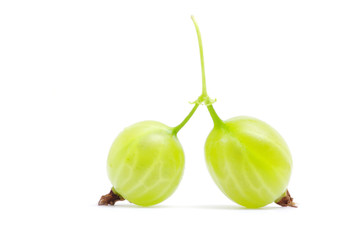  gooseberry