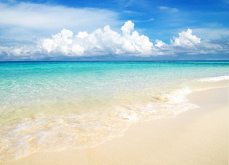 Tropical landscape - beautiful beach with blue ocean and clear sky 