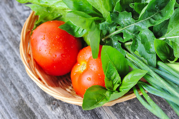 Fresh vegetables and greenery are in a basket