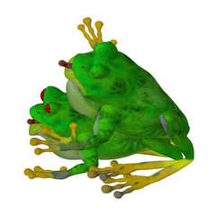 Animal love: two frogs in love