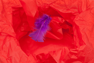 Red Paper and Feather