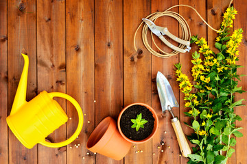 Copyspace frame with gardening tools on old wooden background
