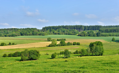 Fototapeta na wymiar landscape in Walloon, province Namur in Belgium