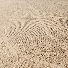 soil of an agricultural field