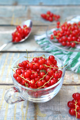 red currant