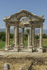 Fototapeta premium Aphoridisias