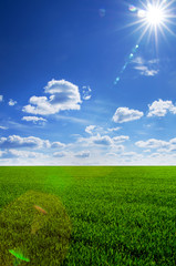 Image of green grass field and bright blue sky