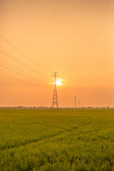 Landscape of the field in tranquil moment