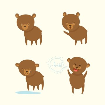 funny bear