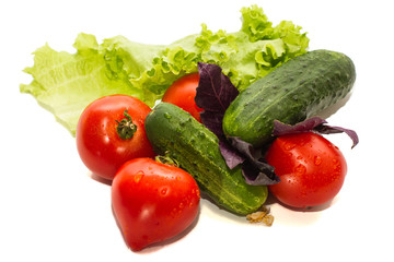 fresh vegetables and herbs on a white background